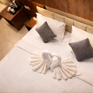Super Deluxe Room